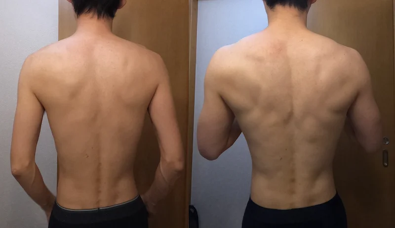身体の変化（back）