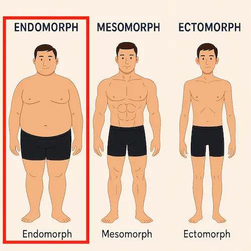 endomorph